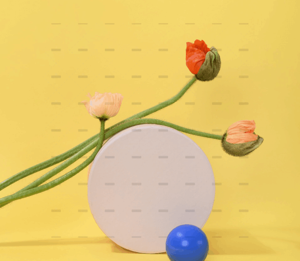 demo-attachment-261-pexels-daria-liudnaya-7354444-min