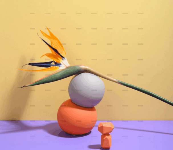 demo-attachment-254-pexels-daria-liudnaya-7354472-min